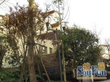 业主哭死了,这种房子500多颗直接送给老板,着不住啊! !