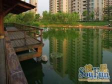 内环内世纪公园旁,电梯高区,景观大三房,采光好,视野强