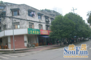 为民路新30号2室1厅东南