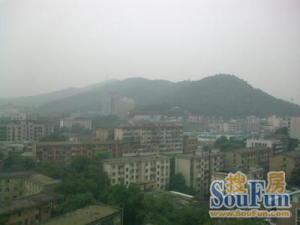 麓山才苑2房2厅1卫比较少见的采光充足低楼层视野开阔
