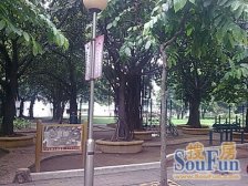 惠景三街 实用东南向三房 户型方正实用 装修保养新净