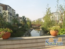 花园300平+,可停五部车,M5V1税费少