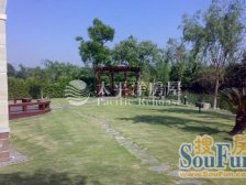 大开间,品质小区,精装修,精装好房,独栋别墅