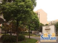 前滩南!总高4楼的3楼南北两房带双厅