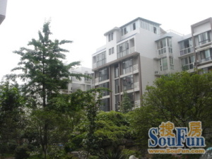 王府春天花园3室2厅东