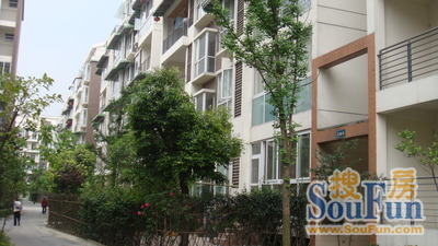 兰桂香林实景图