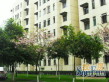两河路188号实景图