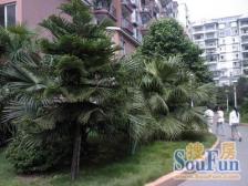 位于两路老城步行街内,交通配套那是相当的齐全