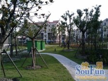 张江科学园区+康桥国际社区+低密度环境优+黄近楼层