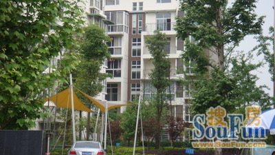 兰桂香林实景图