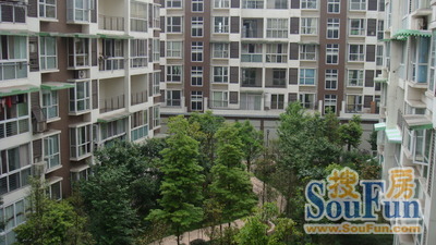 兰桂香林实景图