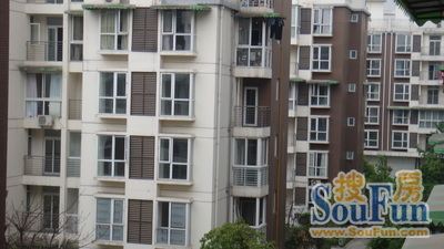 兰桂香林实景图