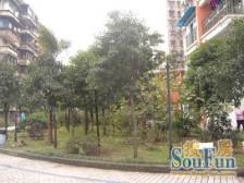 石坪桥 华辰苑二房69万