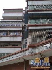 青山南路税务局宿舍 南北通透,采光好装修好,环镜优美 近地铁 视野好,诚售