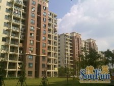 满五唯.一,楼层好,视野开阔,采光充足