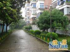 就选这套 双南房 采光好 离金山卫站近