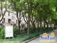 22号线金山卫站+城市沙滩+配套齐全+商圈成熟