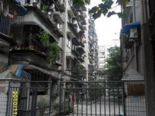 大坪 五棵树小区一房64.8万