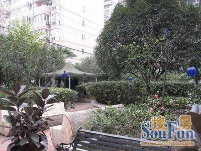 莲花北路小区实景图