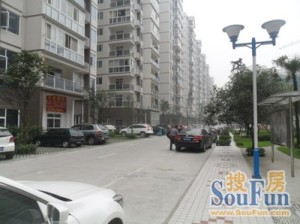 国栋南园五星城1室1厅南