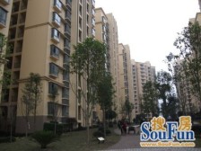 城南新区 新城国际四房188万