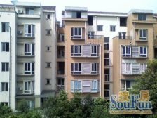 看江小户型 户型方正 配套齐全 楼下公交站 滨江路旁