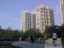 大飘鹰+电梯小高层+价格可沟通