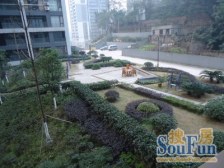 阳光100国际新城 3室1厅 西南