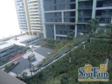 南滨路一线看江,精装修三房,拎包入住