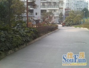 亲和居 3室2厅 东北
