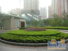 店长力荐,满五无个税,全明户型,高区视野开阔