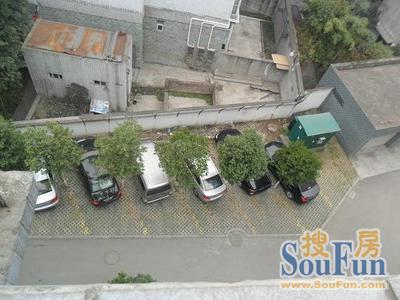 兰桂香林实景图