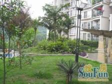 龙洲湾 龙洲花园二房55万