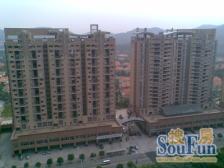 朝南正看虎英山景 毛坯房 产权清晰 看房方便