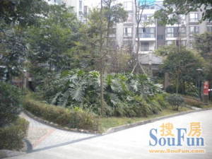 第一园 2室2厅 东南