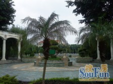 花城小二房,步梯中层,通风采光好,交通方便