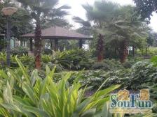 东方巴塞 1室1厅 西南