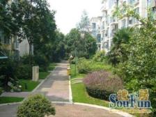 好家园3室南朝向740.00万元/套出售