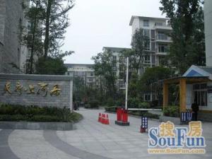 天府上河居 3室2厅 东南