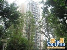 杨家坪商圈 住家精装两房 平街上3楼 采光好