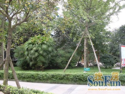 祺瑞名居实景图