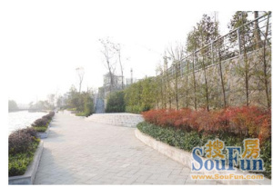 岭秀都江1期 2室1厅 西