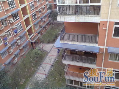 月都家园实景图