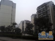 华福雅苑 2室1厅 南