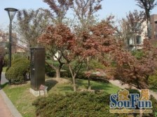 上隽嘉苑(别墅) 4室2厅 南 北