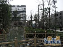 紫荆城3室1厅东西