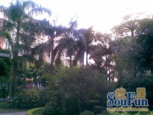 高价比两房,采光通风佳,四季皆享暧阳清风