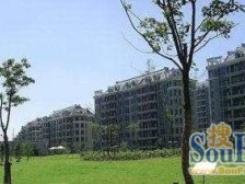 对 面新环广场,小区位置比较好的,还带了大露台。