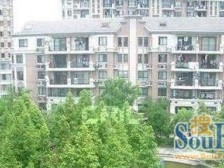 电梯房,大平层,带飘窗,景观房,小区中心位置,环境优美,精装修,装修齐全