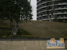 轻轨旁 精装修3房2卫 视野开阔 采光好 出行方便